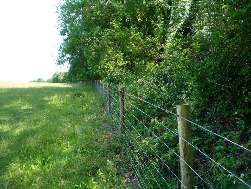 A green field and new stock fence adjacent to a wooded area