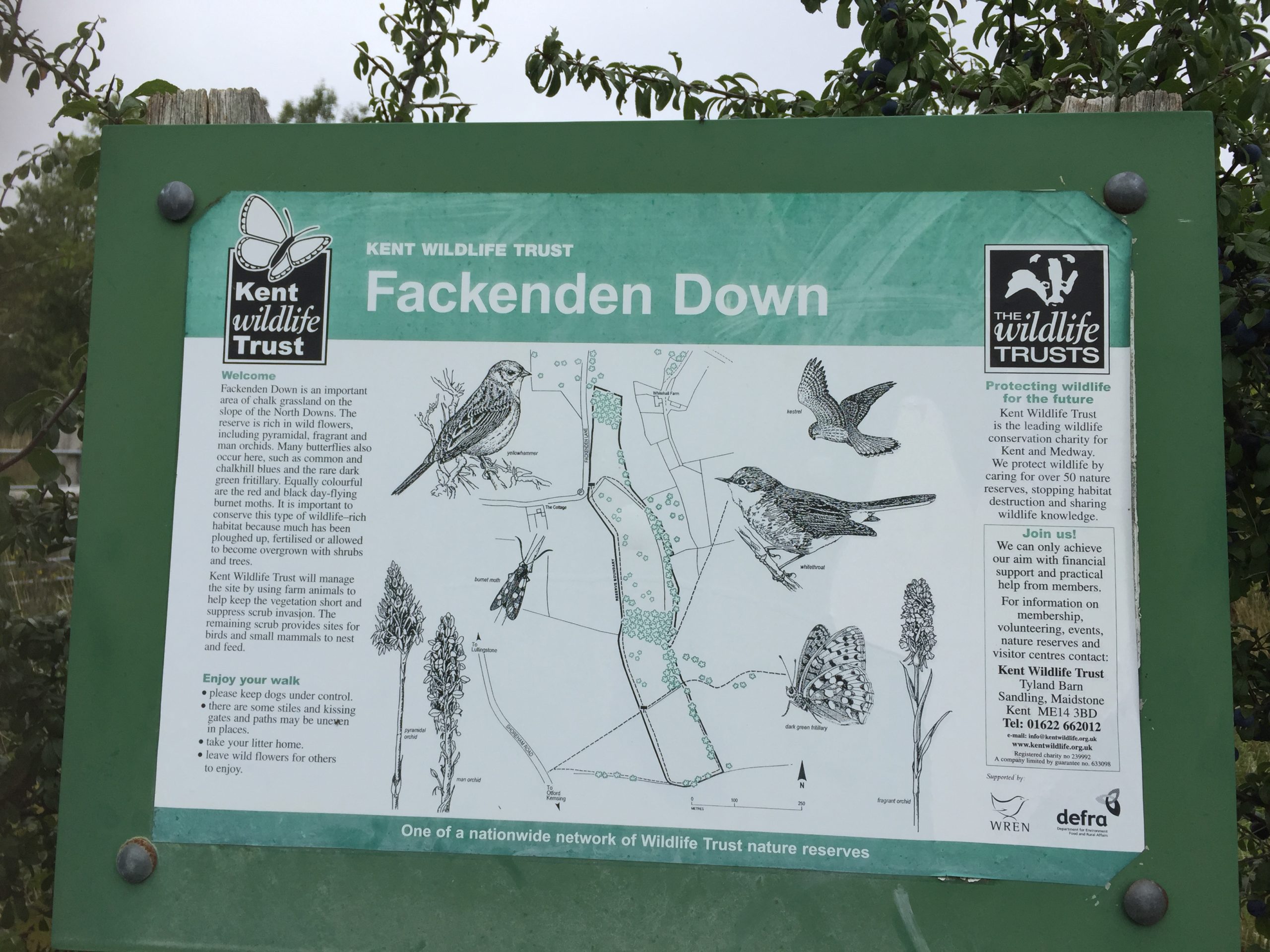 Information board about Fackenden Down