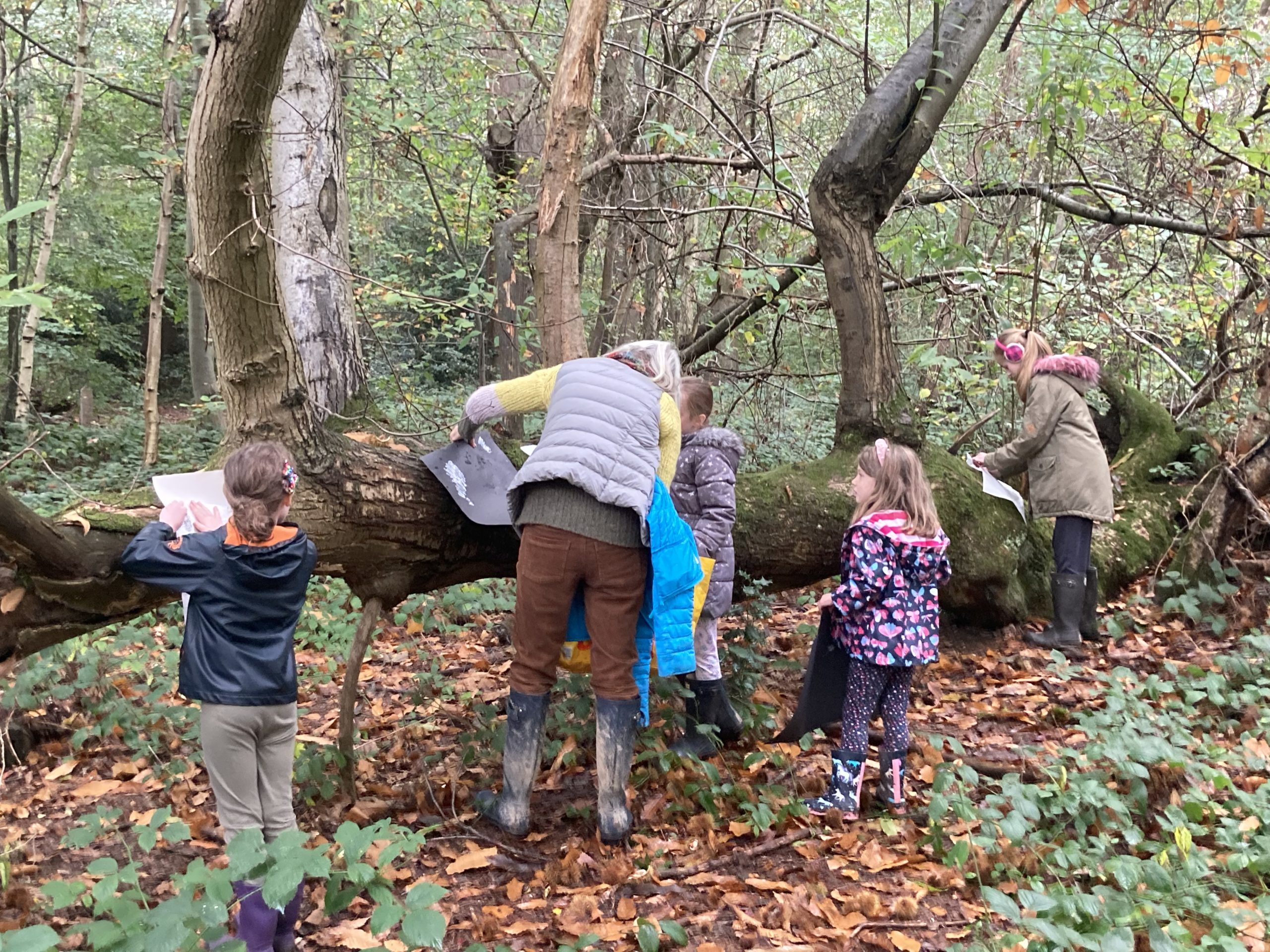 One adult and four children drawing a tree on its side
