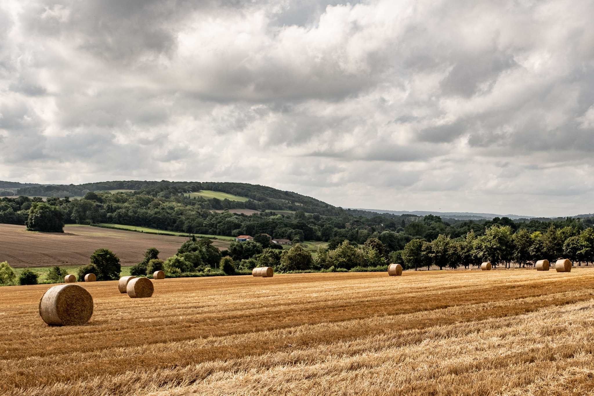 yellowy brown field with hay bales in and hills with trees behind