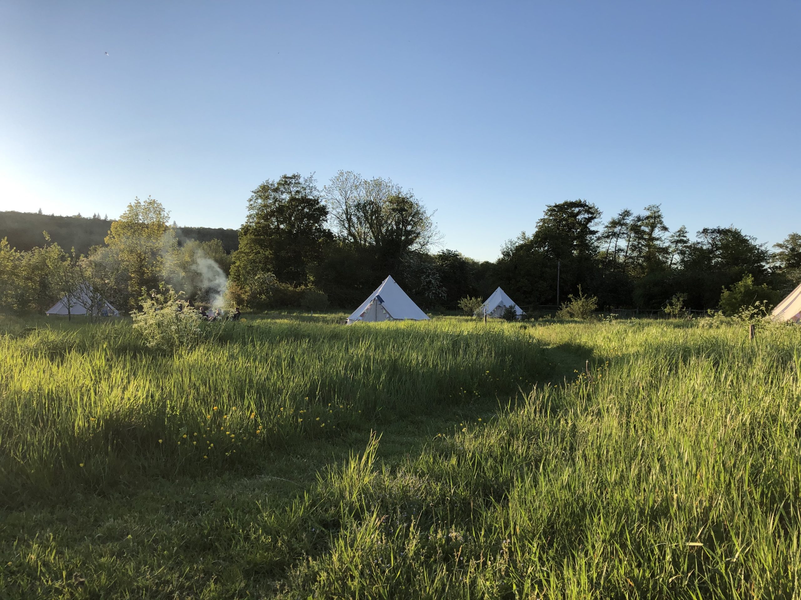 Three white tents in field with green grass underneath and blue sky above